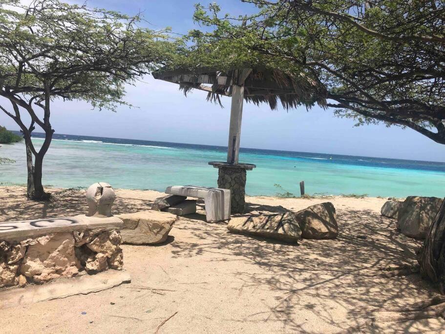 Cozy 1-Bedroom Apartment Minutes Away Drive To Mangel Halto Beach Savaneta Exterior photo